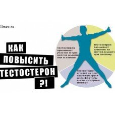 Gonadorelin курс на 6 недель